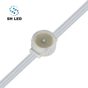 سیاحوں کی توجہ لائٹنگ DVI LED پکسل