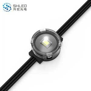 سیاحوں کی توجہ کا مرکز لائٹنگ 22mm LED Pixel